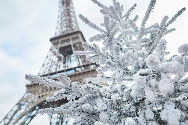 크리스마스 트리 에펠 탑 근처 눈으로 덮여 — 스톡 사진