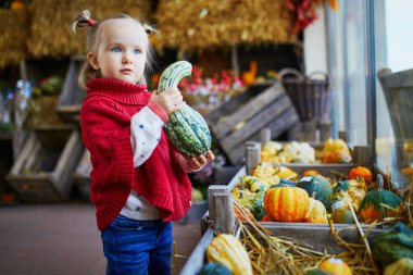 Kırmızı pançolu şirin bir kız süpermarkette, markette ya da çiftlikte renkli balkabakları seçiyor. Mutlu çocuk Cadılar Bayramı kutluyor