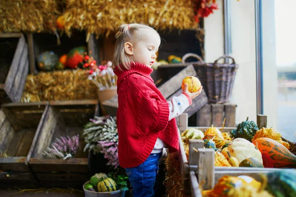 Urocza Dziewczynka Czerwonym Ponczo Wybierająca Kolorowe Dynie Supermarkecie Sklepie Spożywczym — Zdjęcie stockowe