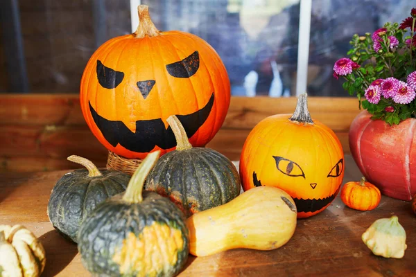 Varietà Zucche Colorate Jack Lanterna Sul Mercato Agricolo Negozio Halloween — Foto Stock