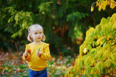 Sonbahar parkında sarı yapraklarla oynayan sevimli küçük kız. Mutlu çocuk güz gününün tadını çıkarıyor. Çocuklar için açık hava etkinlikleri