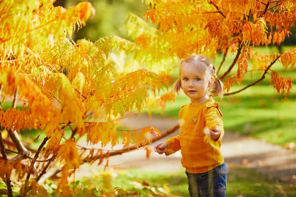 Adorable Niña Jugando Con Hojas Amarillas Parque Otoño Niño Feliz — Foto de Stock