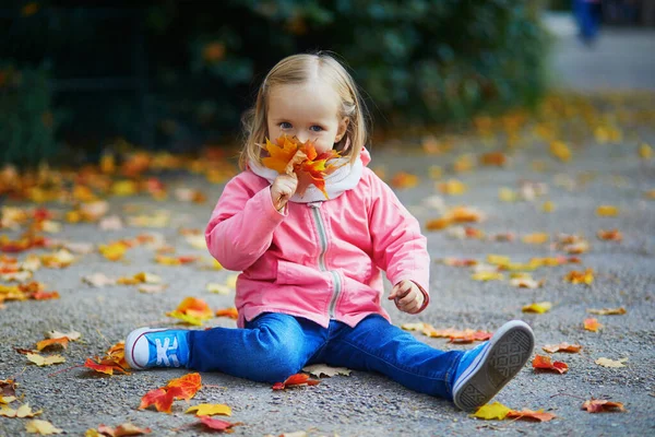 Menina Adorável Criança Sentar Chão Recolher Folhas Caídas Parque Outono — Fotografia de Stock