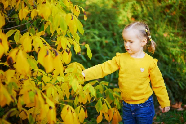 Schattig Peutermeisje Dat Met Gele Bladeren Speelt Het Najaarspark Gelukkige — Stockfoto