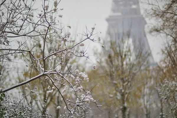 View Eiffel Tower Branches Covered Snow Unusual Weather Conditions Paris — Stock Photo, Image