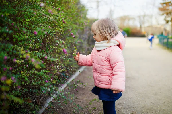 Adorável Menina Criança Parque Parisiense Dia Primavera Outono Atividades Livre — Fotografia de Stock