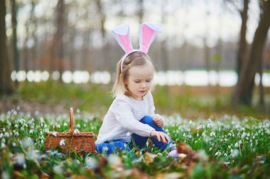 Tavşan kulaklı bir kız Paskalya 'da yumurta avı oynuyor. Bir sürü kartopu çiçeğiyle çimenlerde oturan ve renkli yumurtaları sepette toplayan bir çocuk. Paskalyayı dışarıda kutlayan küçük çocuk.