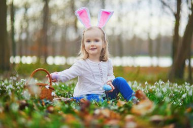 Tavşan kulaklı bir kız Paskalya 'da yumurta avı oynuyor. Bir sürü kartopu çiçeğiyle çimenlerde oturan ve renkli yumurtaları sepette toplayan bir çocuk. Paskalyayı dışarıda kutlayan küçük çocuk.