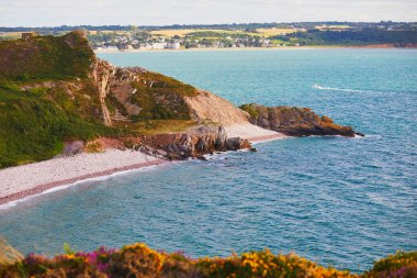Fransa 'nın Brittany kentindeki en popüler turizm merkezlerinden biri olan Cape d' Erquy 'deki fundalıkların manzarası. Ünlü GR34 izleme yolu boyunca yaygın olarak bilinen turistik ilgi.