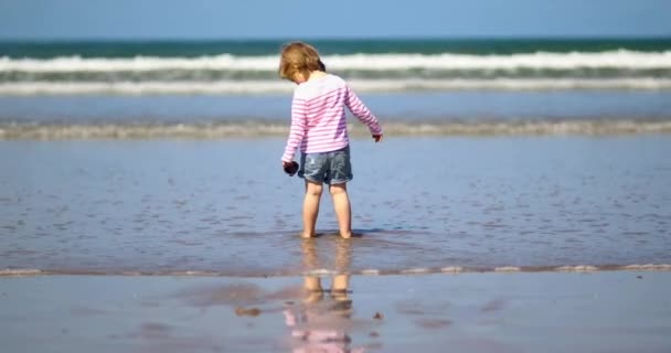 프랑스 브르타뉴 대서양 연안의 모래사장에서 스러운 걸음마를 여자아이 자녀는 바다나 — 비디오