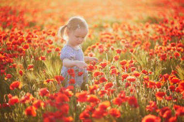 Çiçek açan gelincikler tarlasında yürüyen mavi elbiseli sevimli bir kız. Haşhaş otlağında mutlu bir çocuk. Doğayı ihraç eden çocuklar