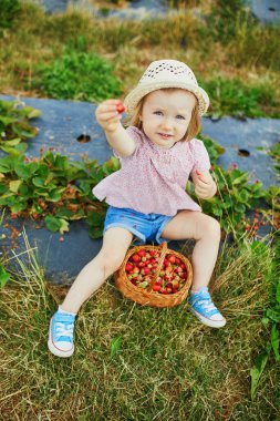 Hasır şapkalı sevimli kız çiftlikten taze organik çilek topluyor. Küçük çocuklar için lezzetli sağlıklı atıştırmalıklar. Küçük çocuklar için açık hava yaz aktiviteleri