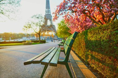 Paris, Fransa 'da kiraz ağaçlarının çiçek açtığı Eyfel Kulesi manzarası