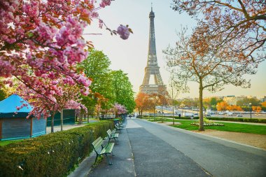 Paris, Fransa 'da kiraz ağaçlarının çiçek açtığı Eyfel Kulesi manzarası