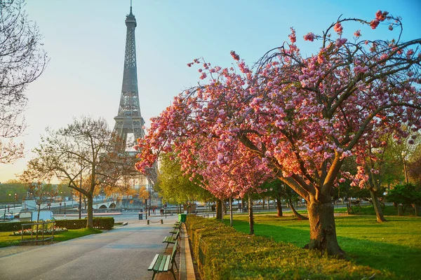 Paris Fransa Kiraz Ağaçlarının Çiçek Açtığı Eyfel Kulesi Manzarası — Stok fotoğraf