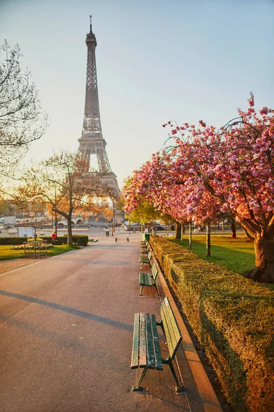 Szcenírozott Kilátás Eiffel Toronyra Cseresznyevirágzással Teli Fákkal Párizsban Franciaországban — Stock Fotó