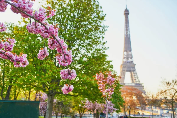 Szcenírozott Kilátás Eiffel Toronyra Cseresznyevirágzással Teli Fákkal Párizsban Franciaországban — Stock Fotó