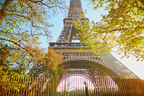 Szcenírozott Kilátás Nyílik Eiffel Toronyra Fák Ágaira Első Levelekkel Kora — Stock Fotó