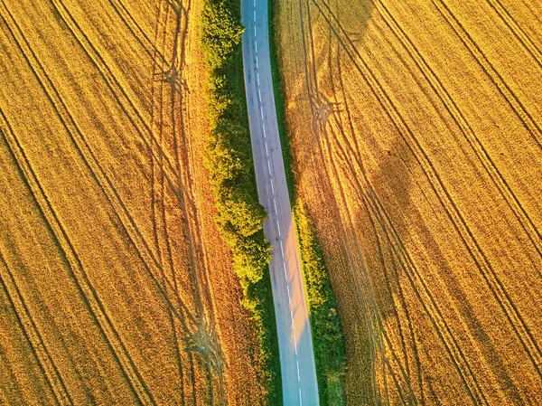 Vista Aérea Pastagens Terras Agrícolas Bretanha França Bela Paisagem Francesa — Fotografia de Stock