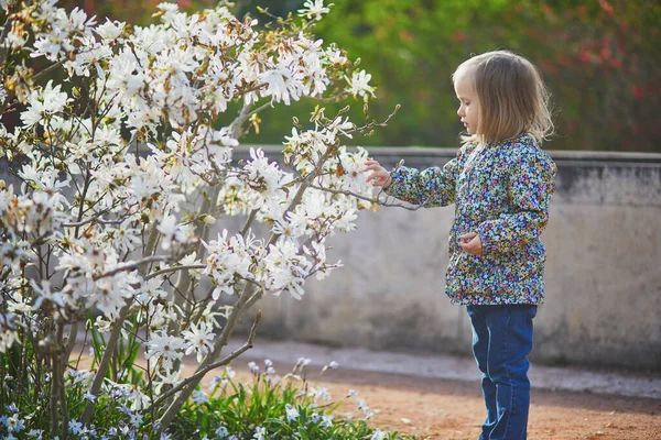 Menina Criança Adorável Olhando Para Magnólia Branca Plena Floração Belo — Fotografia de Stock