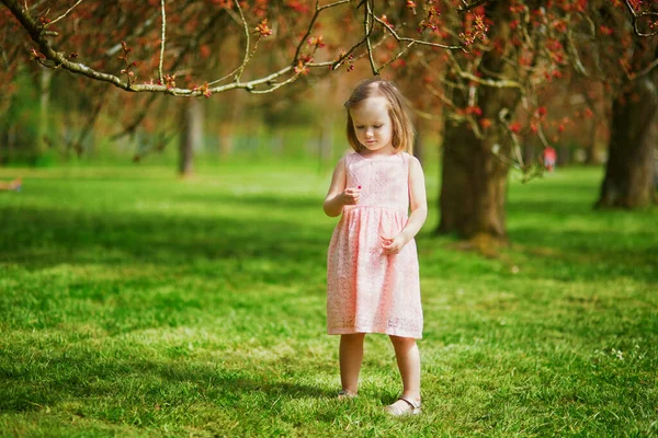 Adorável Menina Três Anos Vestido Rosa Desfrutando Dia Primavera Ensolarado — Fotografia de Stock