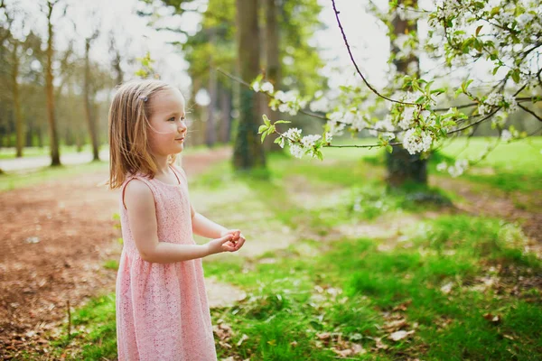 Adorável Menina Três Anos Vestido Rosa Desfrutando Dia Primavera Ensolarado — Fotografia de Stock