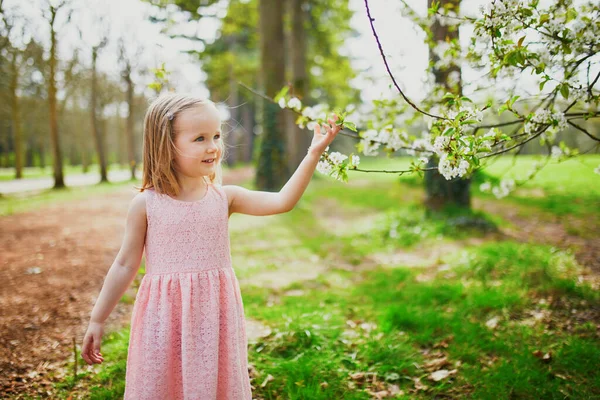 Entzückendes Dreijähriges Mädchen Rosa Kleid Genießt Den Sonnigen Frühlingstag Park — Stockfoto