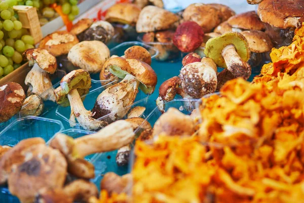 Cogumelos Girolle Boleto Orgânicos Maduros Frescos Mercado Agrícola Paris França — Fotografia de Stock