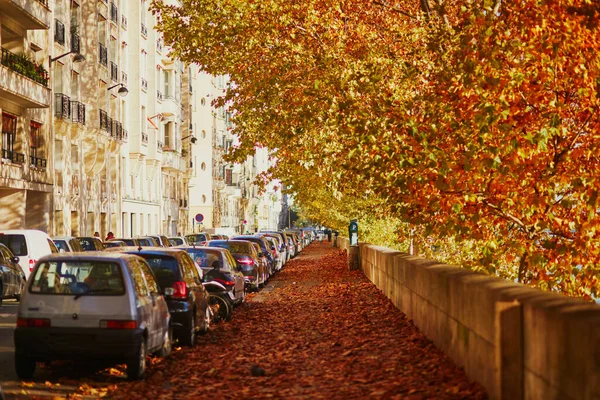 Paris France November 2020 Streets Paris Covered Dry Fallen Autumn — Stock Photo, Image