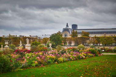 Tuileries Bahçesi, Paris 'te güzel bir sonbahar günü. Fransa 'da sonbahar sezonu