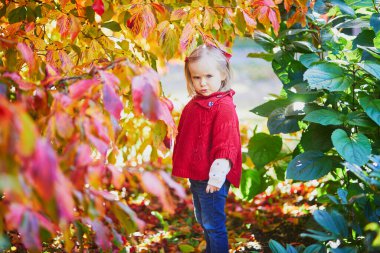 Sonbahar parkında oynayan sevimli küçük kız. Mutlu çocuk, parlak kırmızı yapraklarla güz gününün tadını çıkarıyor. Çocuklar için açık hava etkinlikleri