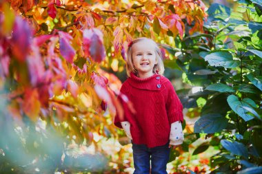 Sonbahar parkında oynayan sevimli küçük kız. Mutlu çocuk, parlak kırmızı yapraklarla güz gününün tadını çıkarıyor. Çocuklar için açık hava etkinlikleri