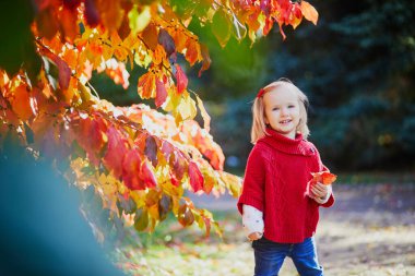 Sonbahar parkında oynayan sevimli küçük kız. Mutlu çocuk, parlak kırmızı yapraklarla güz gününün tadını çıkarıyor. Çocuklar için açık hava etkinlikleri