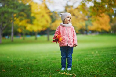 Sonbahar parkında oynayan sevimli küçük kız. Mutlu çocuk, parlak kırmızı yapraklarla güz gününün tadını çıkarıyor. Çocuklar için açık hava etkinlikleri