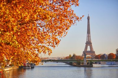 Paris, Fransa 'da bir sonbahar gününde Mirabeau Köprüsü' nden Seine nehrinin üzerindeki Eyfel kulesinin manzarası.