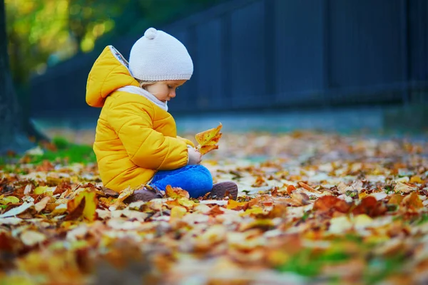 Очаровательная Девочка Сидящая Земле Играющая Желтыми Опавшими Листьями Осеннем Парке — стоковое фото