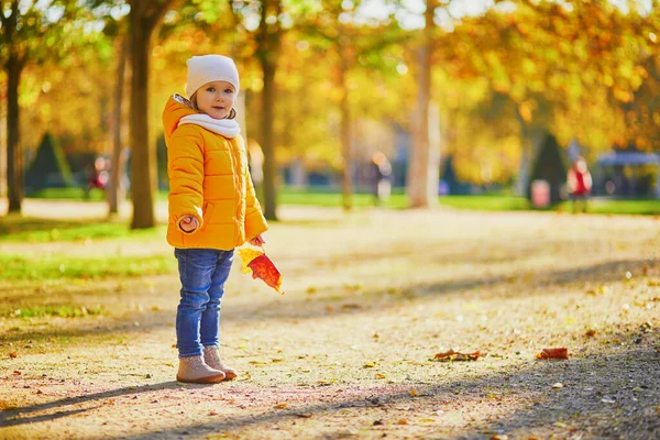 Очаровательная Маленькая Девочка Желтой Куртке Гуляет Осеннем Парке Солнечный Осенний — стоковое фото