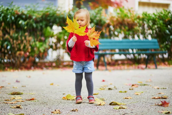 Adorable Niña Poncho Rojo Caminando Parque Otoño Día Soleado Otoño — Foto de Stock