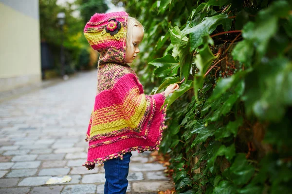 Schattig Peutermeisje Wandelend Het Park Een Herfstdag Parijs Frankrijk Kind — Stockfoto