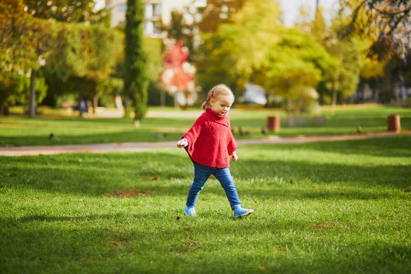 Entzückende Kleinkind Mädchen Spielen Herbst Park Glückliches Kind Genießt Den — Stockfoto