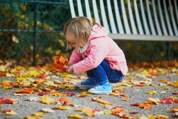 Menina Adorável Criança Sentada Chão Recolhendo Folhas Caídas Parque Outono — Fotografia de Stock