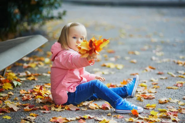 Entzückendes Kleinkind Das Auf Dem Boden Sitzt Und Herbstpark Umgefallenes — Stockfoto