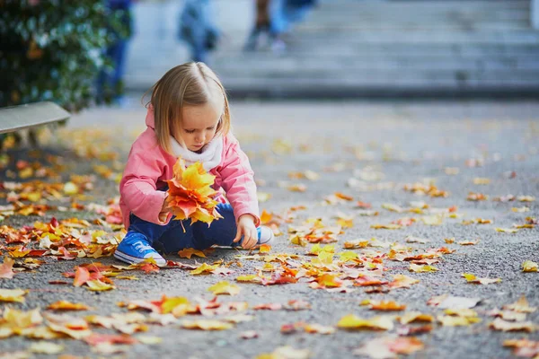 Menina Adorável Criança Sentada Chão Recolhendo Folhas Caídas Parque Outono — Fotografia de Stock