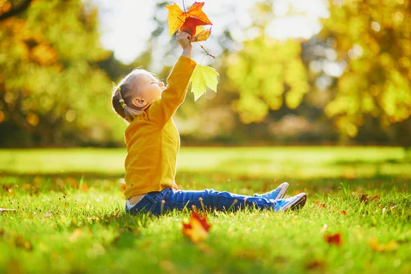 Очаровательная Девочка Сидящая Земле Играющая Палками Желтыми Опавшими Листьями Осеннем — стоковое фото