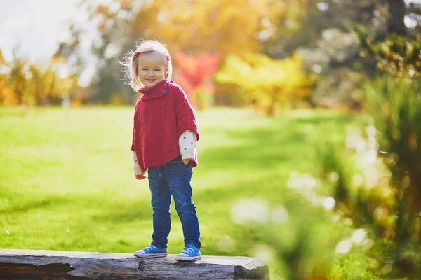Roztomilé Batole Dívka Hraje Podzimním Parku Šťastné Dítě Užívá Podzimního — Stock fotografie