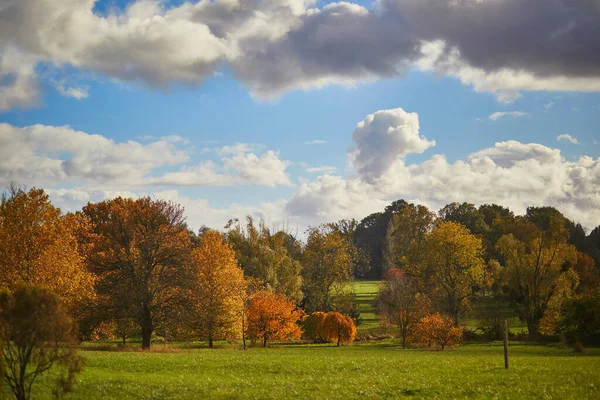 Krásné Arboretum Versailles Nedaleko Paříže Francie Jasného Slunečného Podzimního Dne — Stock fotografie
