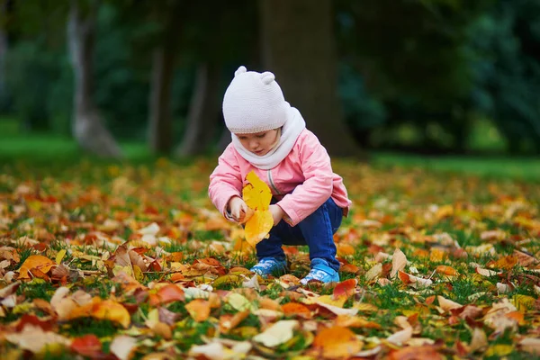 Entzückendes Kleinkind Das Auf Dem Boden Sitzt Und Herbstpark Umgefallenes — Stockfoto