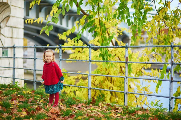 Entzückendes Kleinkind Mädchen Beim Spielen Herbstpark Paris Frankreich Glückliches Kind — Stockfoto