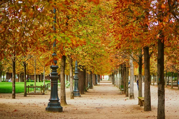 Hermoso Día Otoño Jardín Las Tullerías París Temporada Otoño Francia —  Fotos de Stock