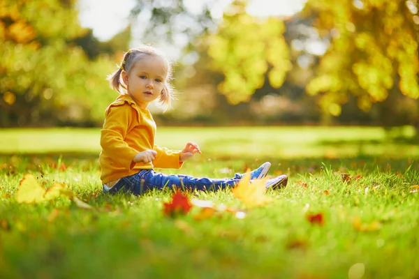 Entzückendes Kleinkind Das Auf Dem Boden Sitzt Und Herbstpark Mit — Stockfoto